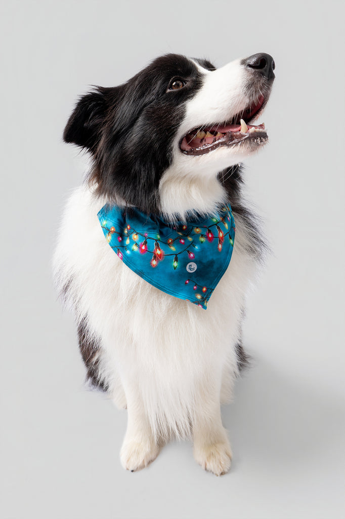 lelosi bandana lelopet catvibe 0