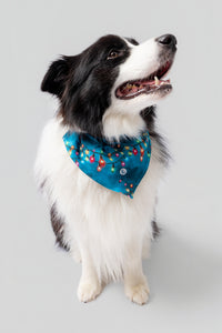 Bandana LeloPET Catvibe