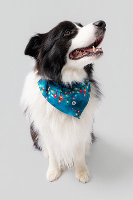 Bandana LeloPET Catvibe